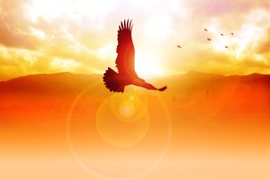 Business Owner's Vision